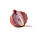 Onion